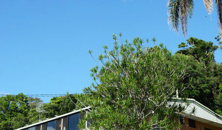 My Houzz: Vintage Finds Create a Relaxed Retro Feel in Queensland