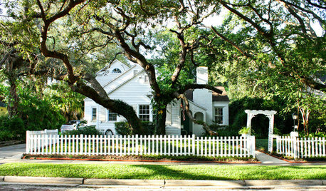 Great Design Plant: Southern Live Oak Offers an Unbeatable Canopy