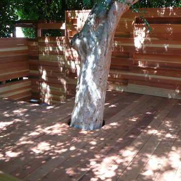 New Fence and Redwood Deck with Hole for Existing Eucalyptus Tree
