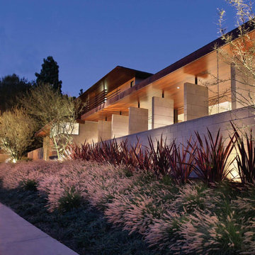 Newport Beach Contemporary Landscape