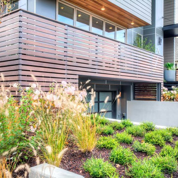 Olin Avenue | Portland
