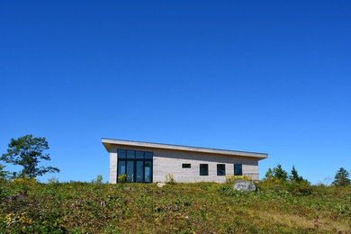 Example of a mid-sized trendy one-story wood exterior home design in Portland Maine with a shed roof