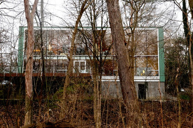 Foto della facciata di una casa grande moderna a due piani con rivestimento in vetro