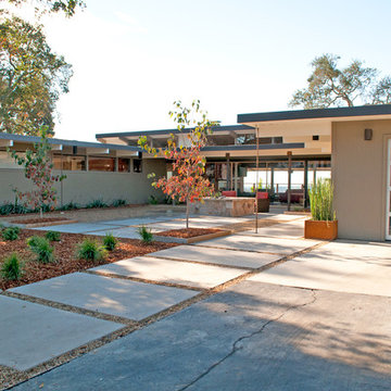 Our 1954 Mid Century Ranch Home, Napa, CA