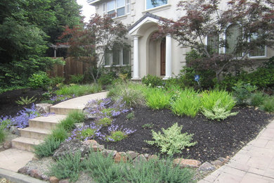 Inspiration for a large transitional landscaping in San Francisco.