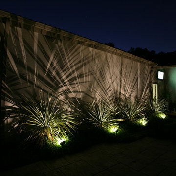 Outdoor Lighting project in Dallas, TX