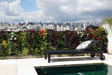 Paisagismo residencial - Vila Nova Conceição - São Paulo/Brasil