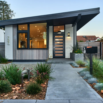 Palo Alto Contemporary III