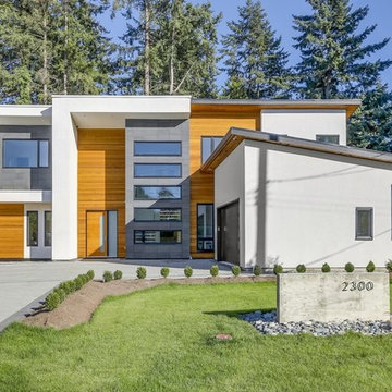 Peninsula Village Modern
