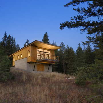 Pine Forest