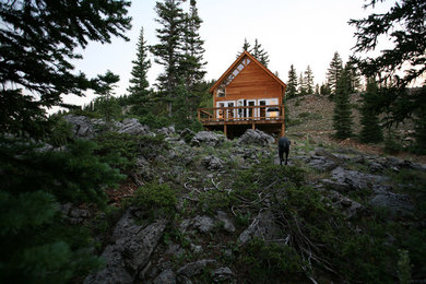 Pitkin Cabin