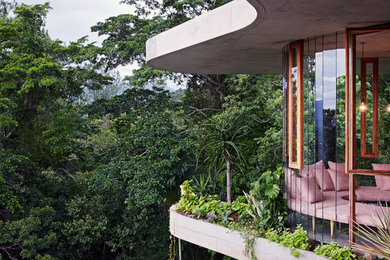 Planchonella House by Jesse Bennett Architect