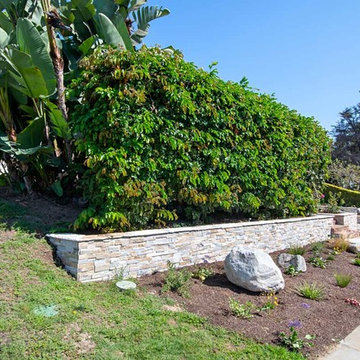 Point Loma Exterior Landscaping for Privacy