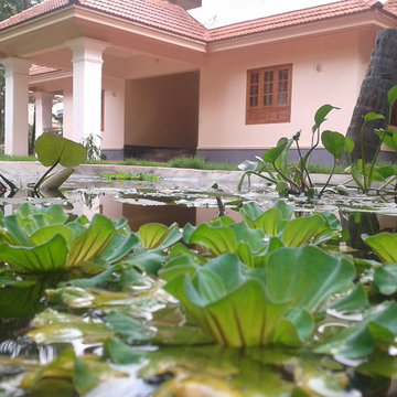 Pond & My Home