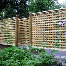 backyard fencing privacy