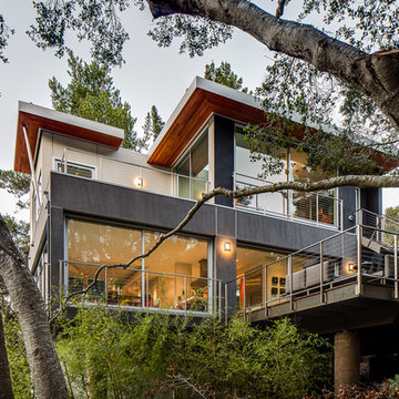 Portola Valley