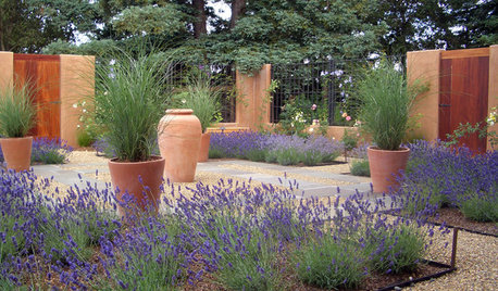 Xeriscape Gardens: How to Get a Beautiful Landscape With Less Water