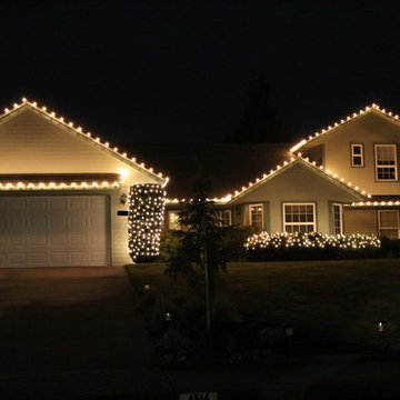 Professional Christmas Light Installation