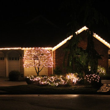 Professional Christmas Light Installation
