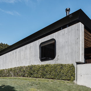 This is an example of an industrial concrete grey house exterior with a shed roof.