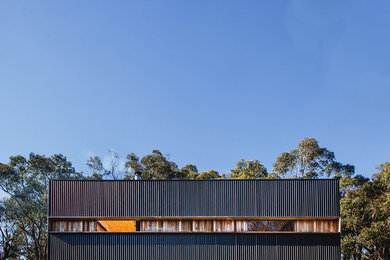 Cette photo montre une petite façade de maison métallique et noire tendance de plain-pied.
