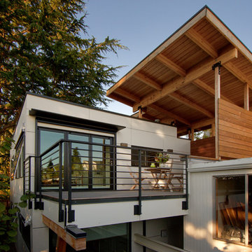 Queen Anne Tree House