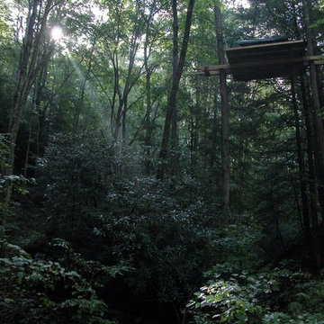 red river gorge tree houses