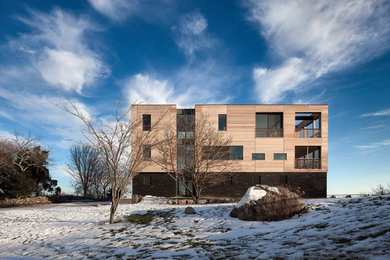 Modelo de fachada de casa marrón contemporánea de tres plantas con revestimiento de madera y tejado plano
