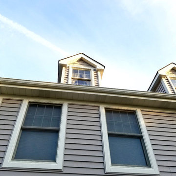 Roselle, IL Colonial Vinyl Siding Remodel
