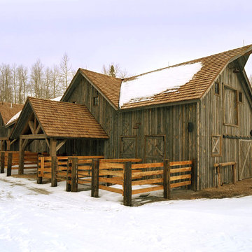 Rustic Shed