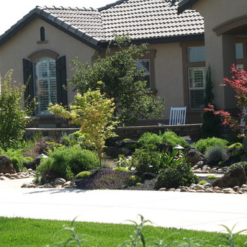 Santa Rosa Full Backyard & Front Yard Design