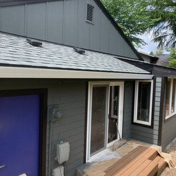 Siding, Roofing & Paint