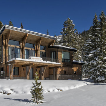 Silverheels