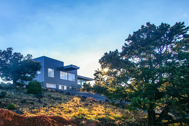 Inspiration pour une façade de maison métallique et grise minimaliste de taille moyenne et à un étage avec un toit plat.