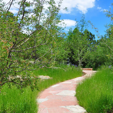 Southwestern Landscape