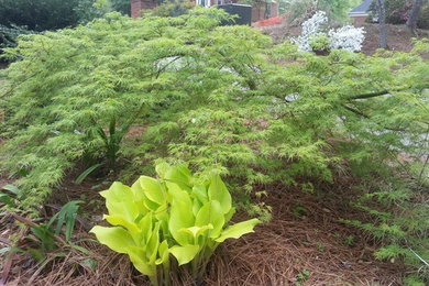 This is an example of a contemporary landscaping in Atlanta.