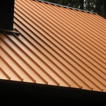 Standing Seam Metal Roof Farmhouse/Craftsman Style