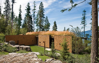 Houzz Tour: At One With Nature in This Creative Take on a Log Cabin
