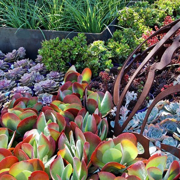 Succulent Show Garden - sculpture