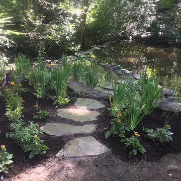 Swimming Pond Restoration & Native Bog Garden in White Plains, NY