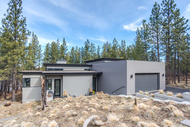 Стильный дизайн: большой, двухэтажный, серый частный загородный дом в стиле модернизм с комбинированной облицовкой, плоской крышей и зеленой крышей - последний тренд