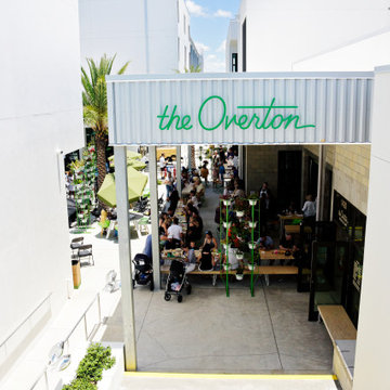 The Overton