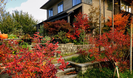 Houzz Tour: An Urban Home Nestled in a Thicket