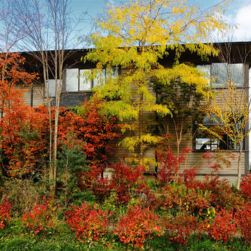 The Thicket