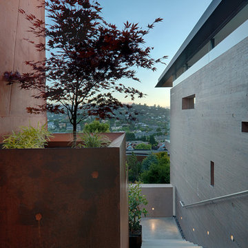Tiburon House
