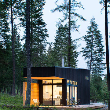 Tiny Houses in the Woods