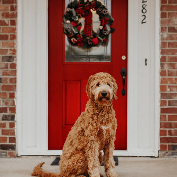 Traditional Bold Front Door and Porch for the Holidays with Wreath