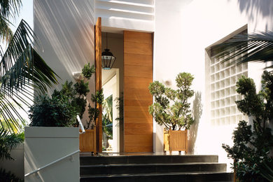 Transitional exterior home idea in Miami