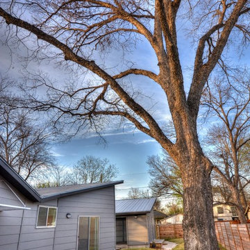 Tree+House Back Exterior