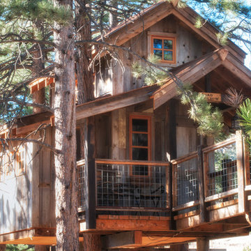 Tree house with Natureaged siding